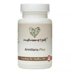 Mushrooms 4 Pets Armillaria Plus - 60 capsules