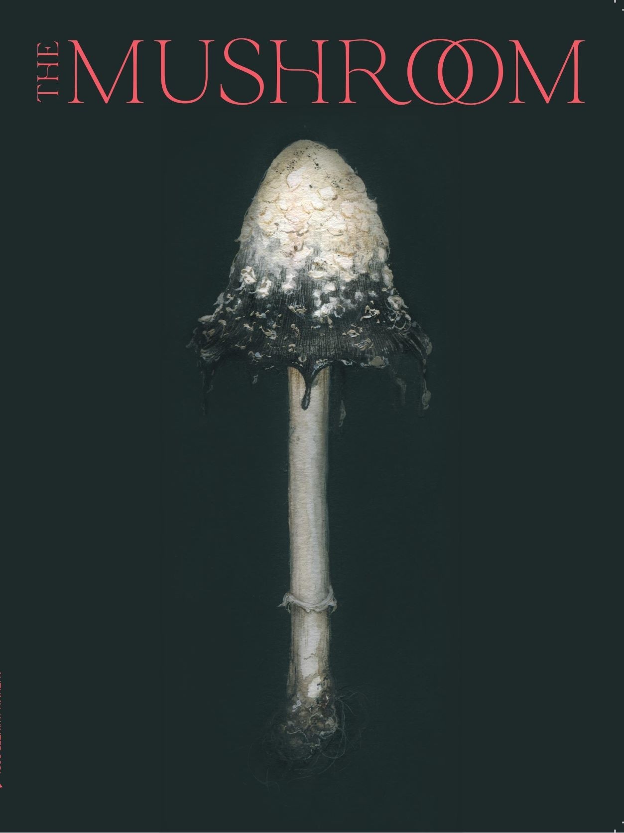 The Mushroom Magazine - Third Edition