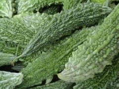 Bitter Melon (Momordica) - 60 capsules