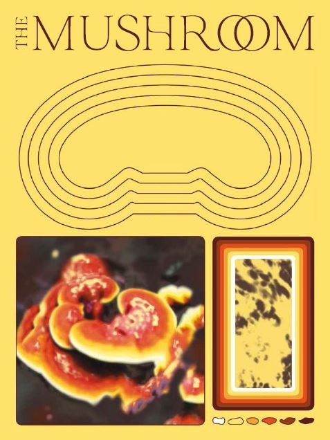 The Mushroom Magazine - first issue