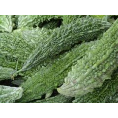 Bitter Melon (Momordica) - 60 capsules